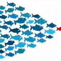 A leader’s development improves the whole firm