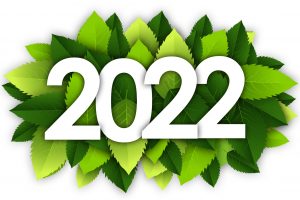 2022 leadership goals
